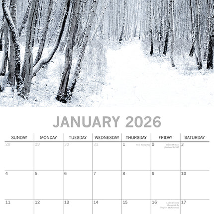 Woodland Scenes 2026 Square Wall Calendar 16 Months World & Travel Planner Gift