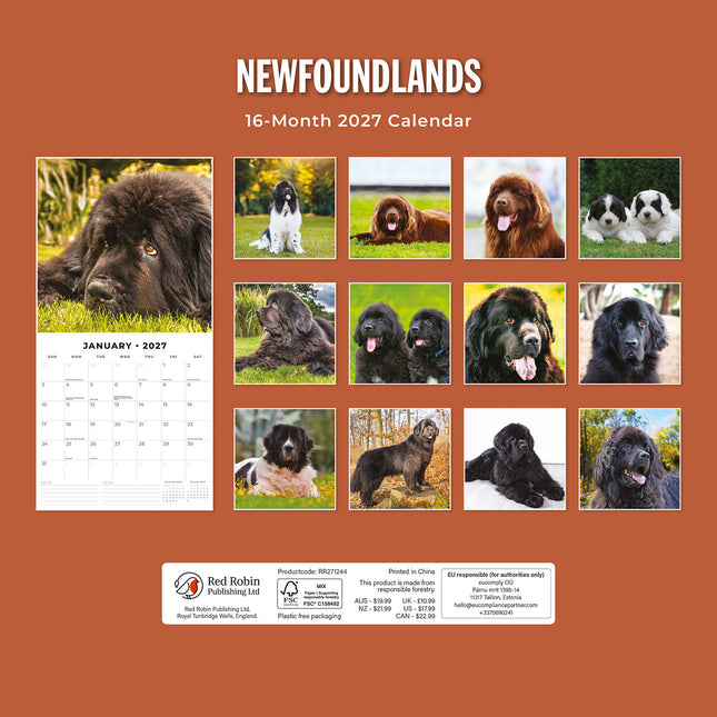 Newfoundlands 2027 square wall calendar - back cover