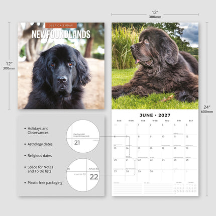 Newfoundlands 2027 square wall calendar - product specifications