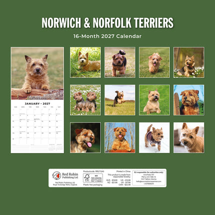 Norwich & Norfolk Terriers 2027 square wall calendar - back cover