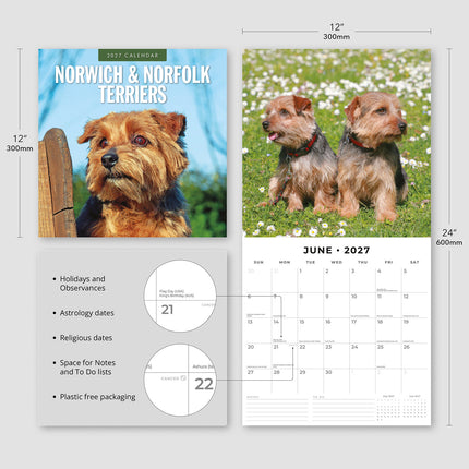 Norwich & Norfolk Terriers 2027 square wall calendar - product specifications