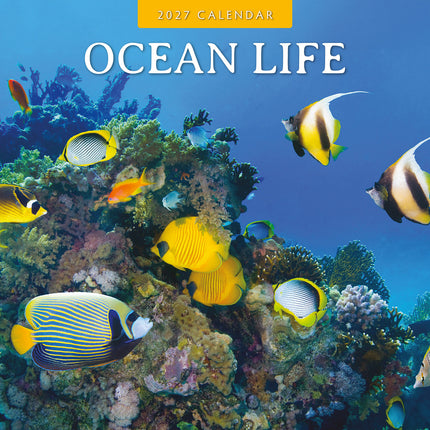 Ocean Life 2027 square wall calendar - front cover