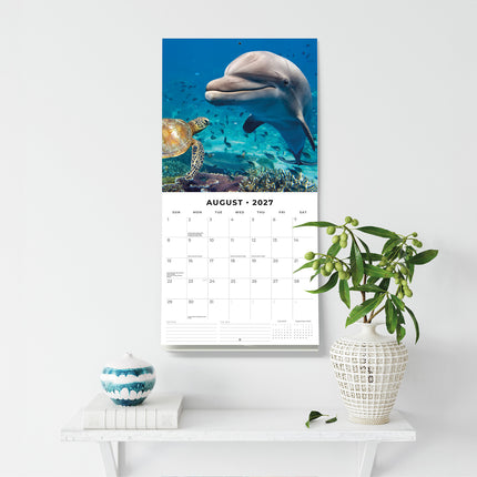 Ocean Life 2027 square wall calendar - wall display