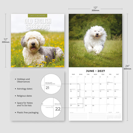 Old English Sheepdogs 2027 square wall calendar - product specifications