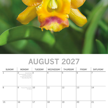 Orchids 2027 Premium Square Wall Calendar August sample page