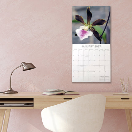 Orchids 2027 Premium Square Wall Calendar lifestyle image