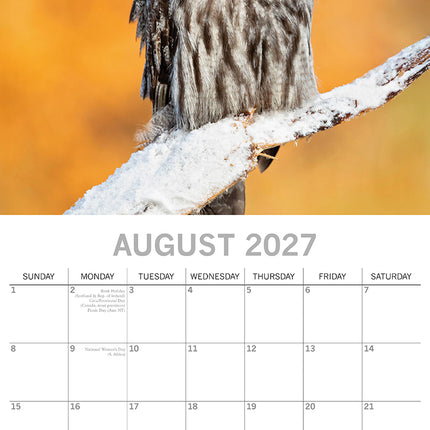Owls 2027 Premium Square Wall Calendar August sample page