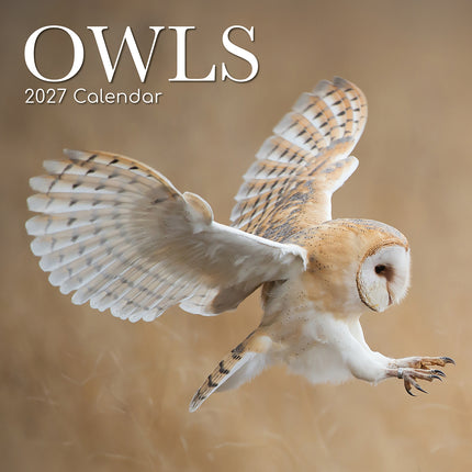 Owls 2027 Premium Square Wall Calendar cover