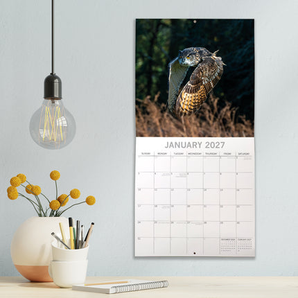 Owls 2027 Premium Square Wall Calendar lifestyle image