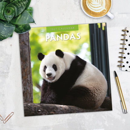 Pandas 2027 square wall calendar - image detail