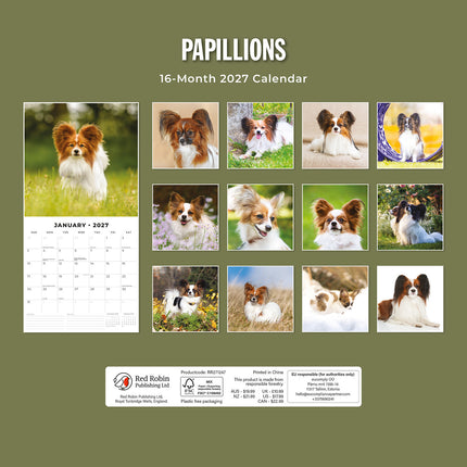 Papillons 2027 square wall calendar - back cover