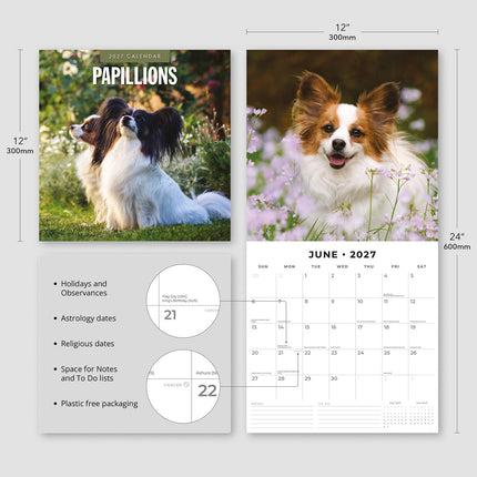 Papillons 2027 square wall calendar - product specifications