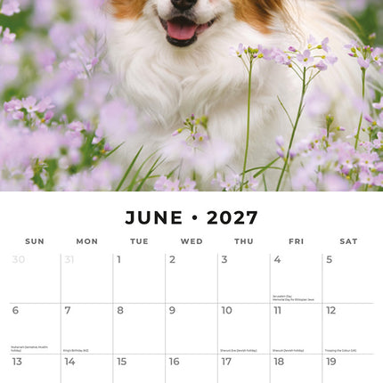 Papillons 2027 square wall calendar - monthly calendar spread