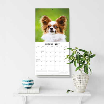 Papillons 2027 square wall calendar - wall display