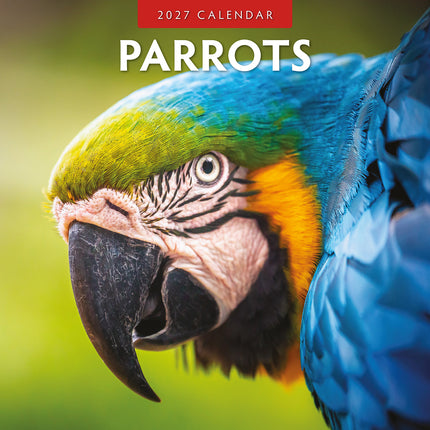 Parrots 2027 square wall calendar - front cover