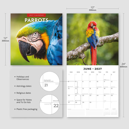 Parrots 2027 square wall calendar - product specifications
