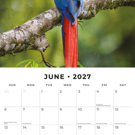 Parrots 2027 square wall calendar - monthly calendar spread