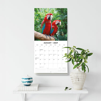 Parrots 2027 square wall calendar - wall display
