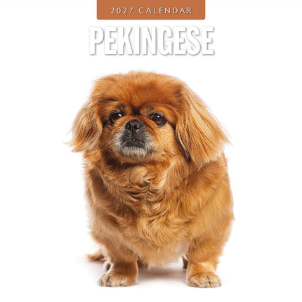 Pekingese 2027 square wall calendar - front cover