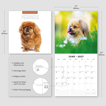 Pekingese 2027 square wall calendar - product specifications