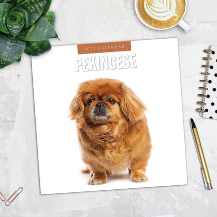 Pekingese 2027 square wall calendar - image detail