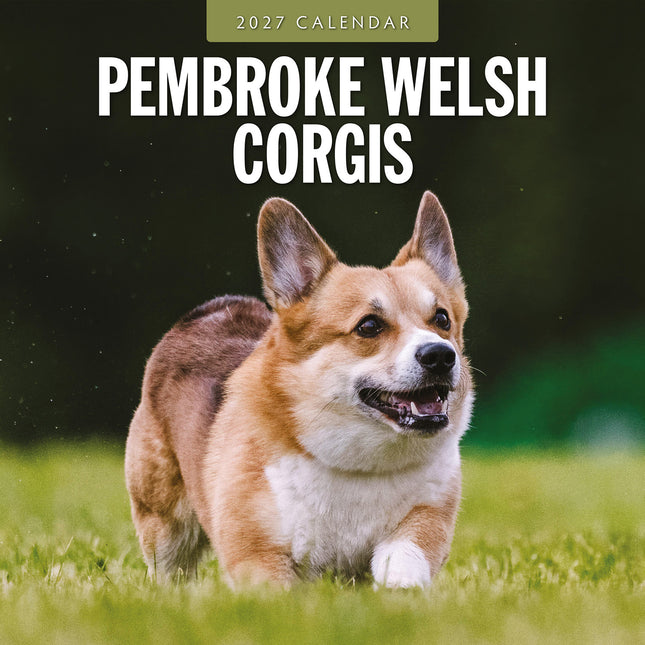 Pembroke Welsh Corgis 2027 square wall calendar - front cover