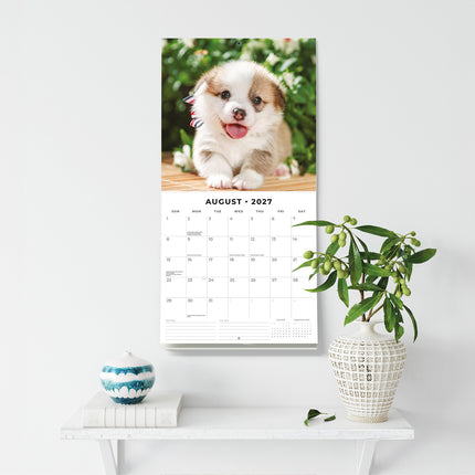 Pembroke Welsh Corgis 2027 square wall calendar - wall display