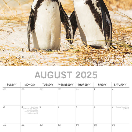 Penguins - 2025 Square Wall Calendar Pets Animals 16 Months Premium Planner Gift