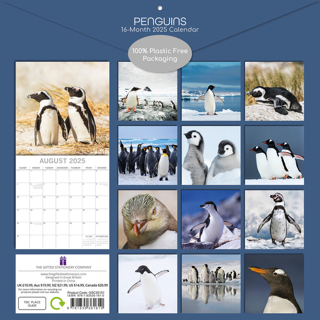 Penguins - 2025 Square Wall Calendar Pets Animals 16 Months Premium Planner Gift