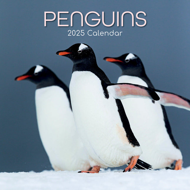 Penguins - 2025 Square Wall Calendar Pets Animals 16 Months Premium Planner Gift