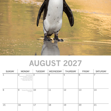 Penguins 2027 Premium Square Wall Calendar August sample page