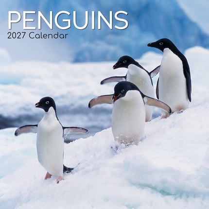 Penguins 2027 Premium Square Wall Calendar cover