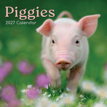 Piggies 2027 Premium Square Wall Calendar cover