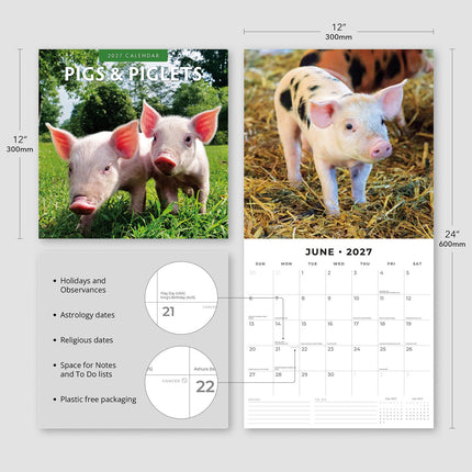Pigs & Piglets 2027 square wall calendar - product specifications