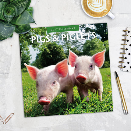 Pigs & Piglets 2027 square wall calendar - image detail