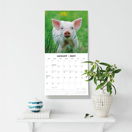 Pigs & Piglets 2027 square wall calendar - wall display