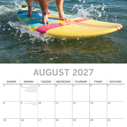 Playful Pigs 2027 Premium Square Wall Calendar August sample page