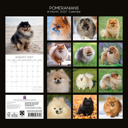 Pomeranians 2027 Premium Square Wall Calendar back cover