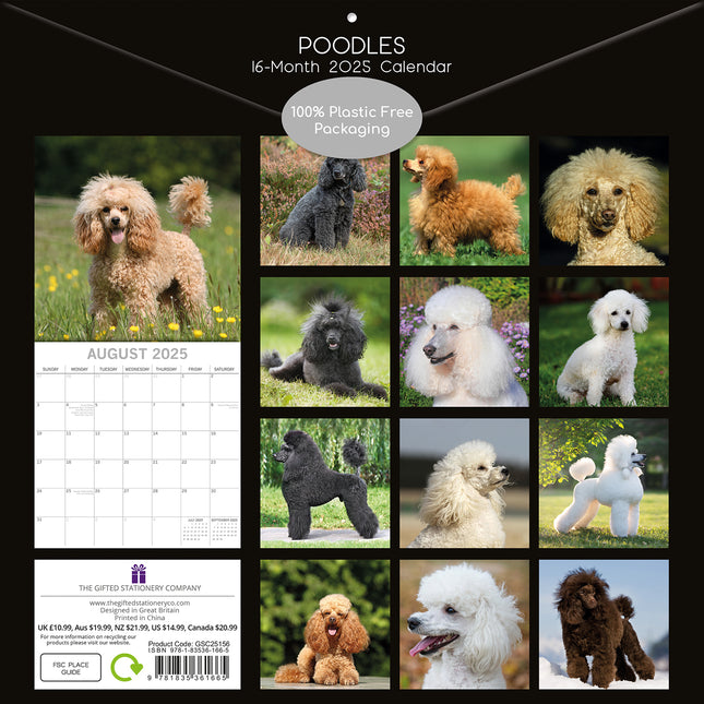 Poodles - 2025 Square Wall Calendar Dogs Pets Animals 16 Months Premium Planner