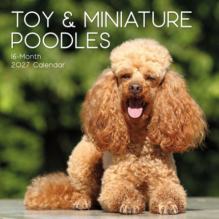Toy & Miniature Poodles 2027 Premium Square Wall Calendar cover
