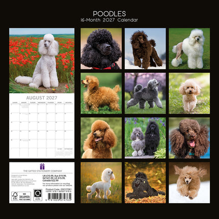 Poodles 2027 Premium Square Wall Calendar back cover