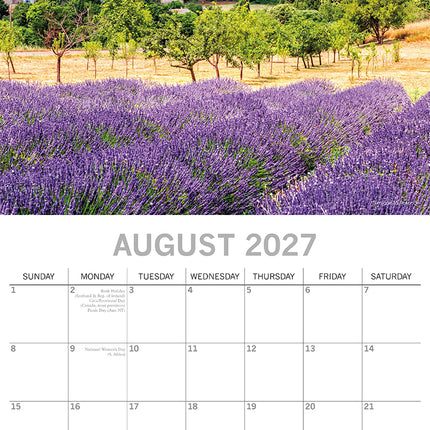Provence 2027 Premium Square Wall Calendar August sample page
