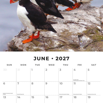 Puffins 2027 square wall calendar - monthly calendar spread