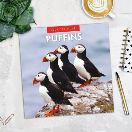 Puffins 2027 square wall calendar - image detail