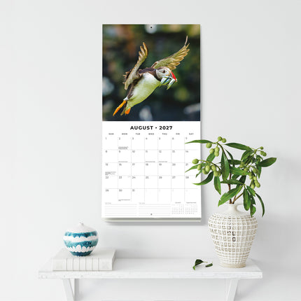 Puffins 2027 square wall calendar - wall display