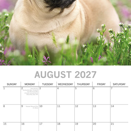 Pugs 2027 Premium Square Wall Calendar August sample page