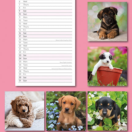 Puppy Love 2027 Premium Slim Wall Calendar back cover