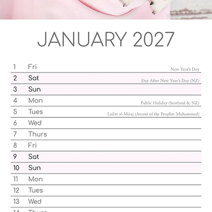 Puppy Love 2027 Premium Slim Wall Calendar January sample page
