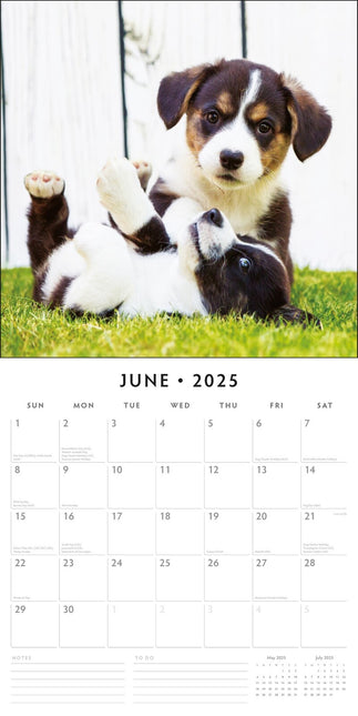 Adorable Dogs - 2025 Square Wall Calendar Animals 16 Months Premium Planner Gift