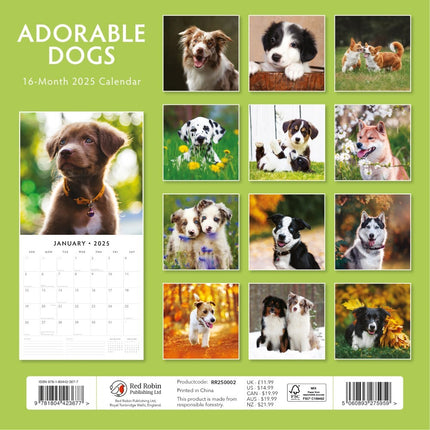 Adorable Dogs - 2025 Square Wall Calendar Animals 16 Months Premium Planner Gift